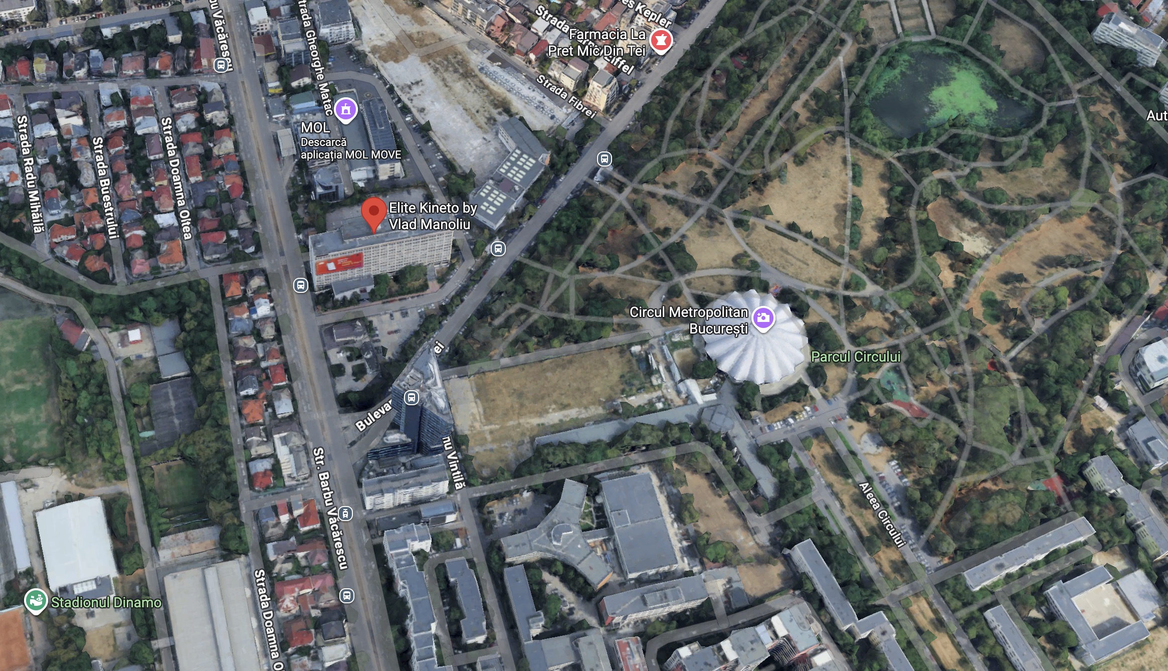 Locația Elite Physio pe hartă